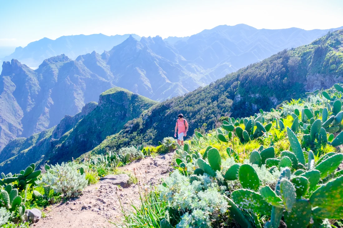 A traveller on a trail surrounded by Tenerife’s green mountains